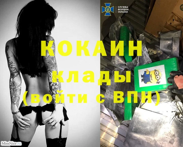 индика Абинск