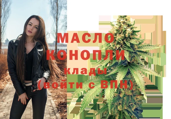 индика Абинск