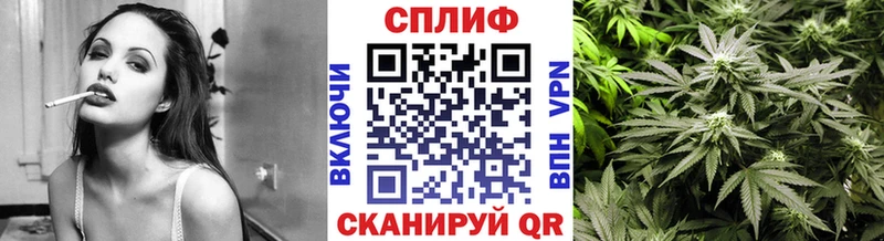 Марихуана сатива  хочу наркоту  Кораблино 